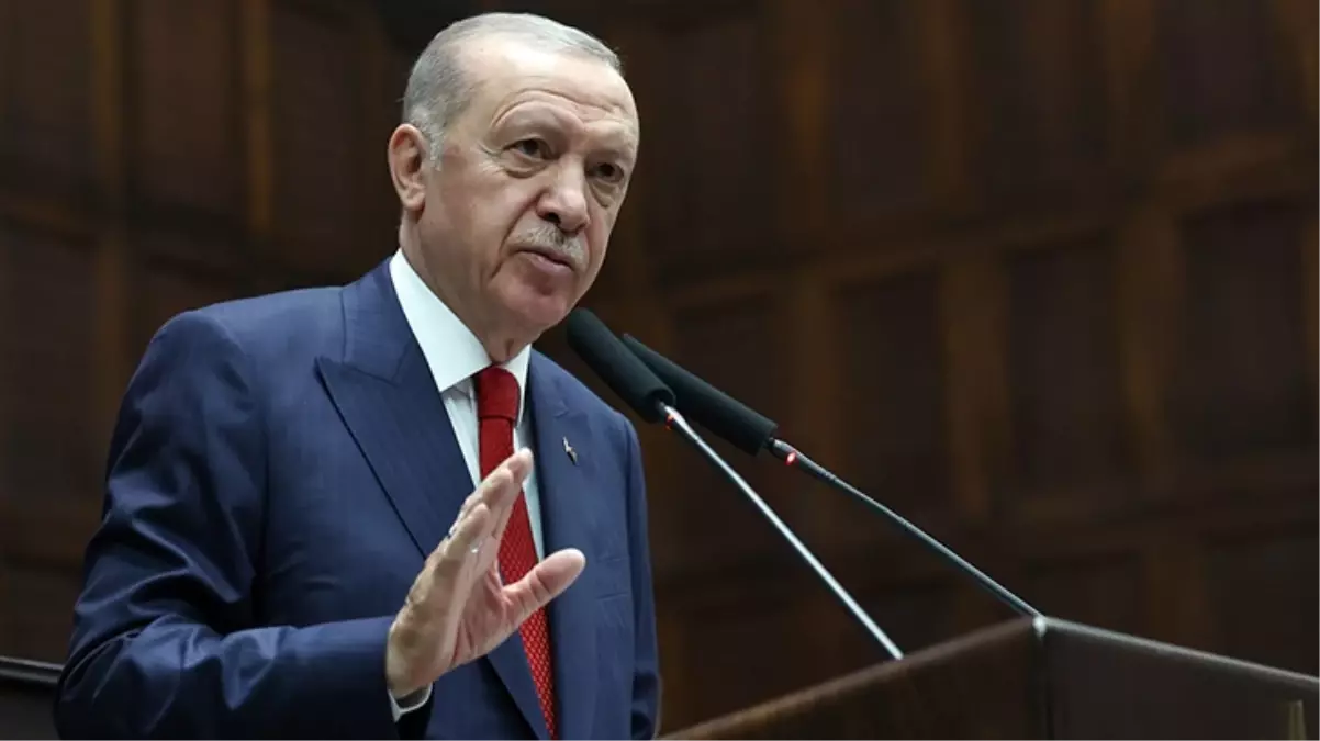 Dosya Erdoğan\'ın önüne gidiyor! Sokak hayvanlarıyla ilgili düzenlemede son aşamaya gelindi