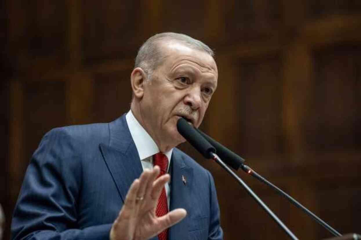 Dosya Erdoğan'ın önüne gidiyor! Sokak hayvanlarıyla ilgili düzenlemede son aşamaya gelindi