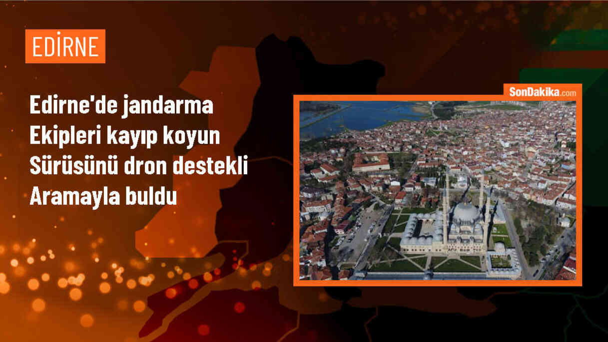 Edirne\'de kaybolan 62 koyun jandarmanın dron destekli çalışmasıyla bulundu