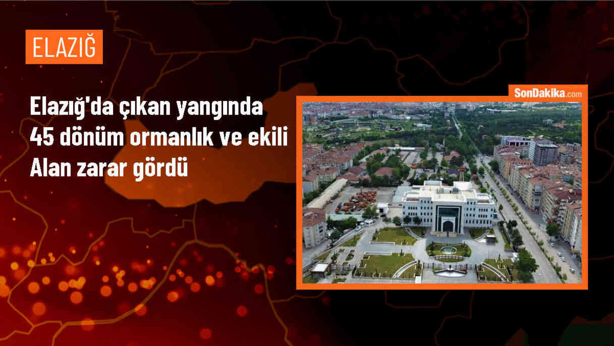 Elazığ\'da Ormanlık ve Ekili Alanda Çıkan Yangın Söndürüldü