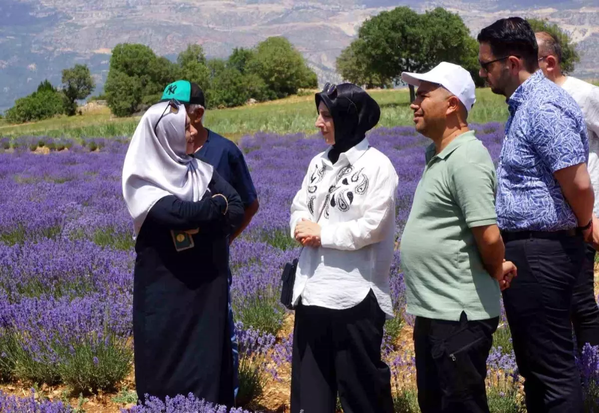 Emekli Hemşire Betül Arslan, Gökçekent köyünde lavanta yetiştiriciliği yaparak kadınlara örnek oluyor