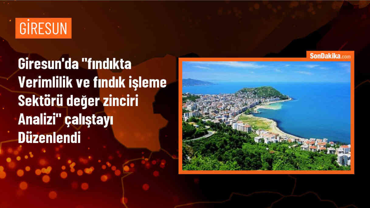 Giresun\'da Fındıkta Verimlilik ve Fındık İşleme Sektörü Değer Zinciri Analizi Çalıştayı Düzenlendi