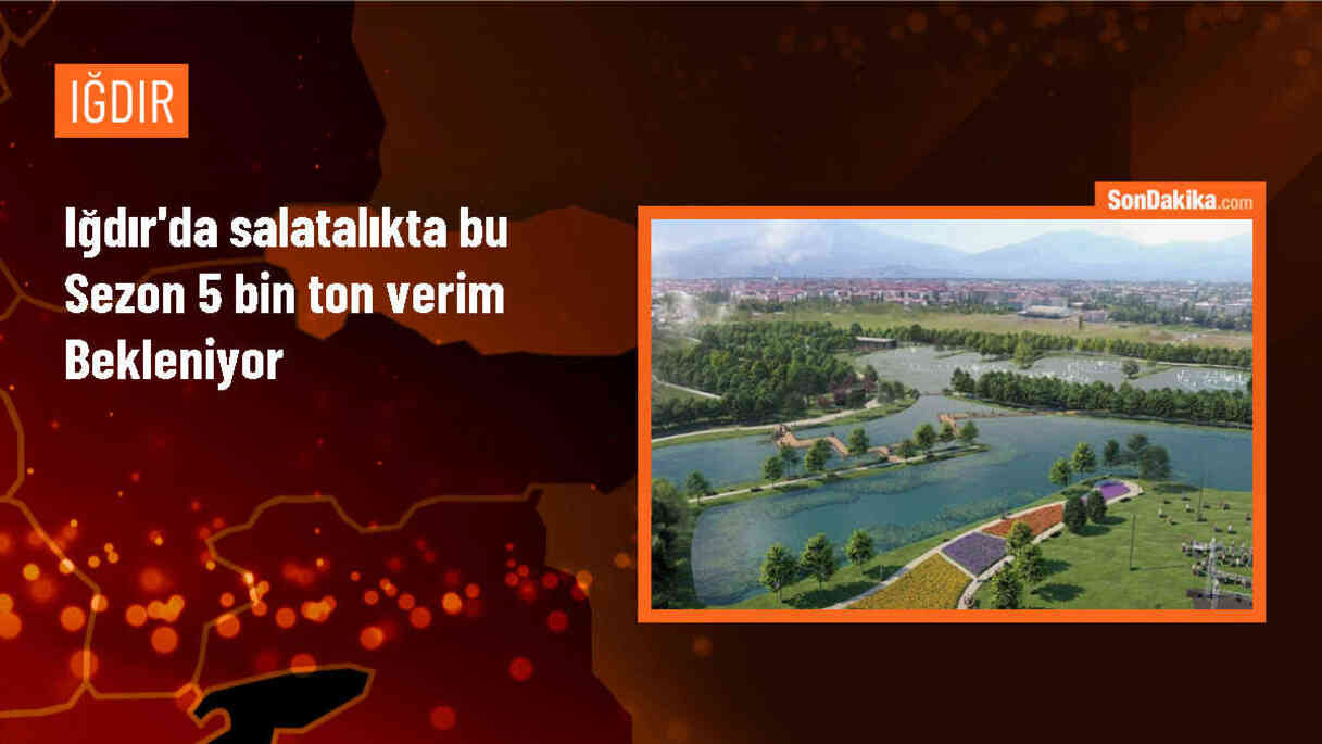 Iğdır\'da Bu Sezon 5 Bin Ton Salatalık Üretimi Bekleniyor