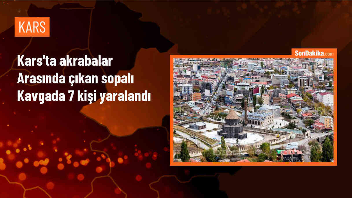 Kars\'ın Sarıkamış ilçesinde akrabalar arasında çıkan sopalı kavgada 7 kişi yaralandı