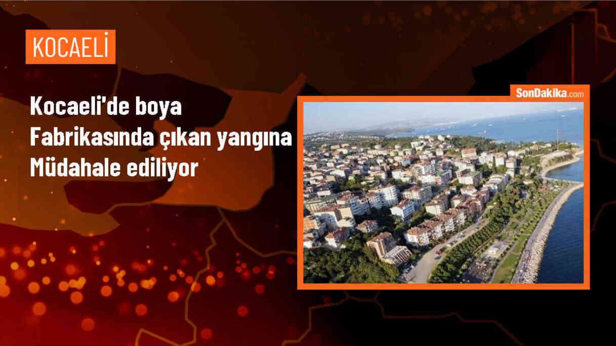 Gebze\'deki Boya Fabrikasında Yangın Çıktı
