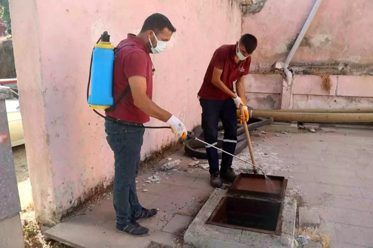 Koçarlı Belediyesi Haşerelerle Mücadele Çalışmalarını Sürdürüyor