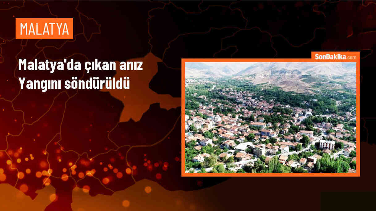 Malatya\'da çıkan anız yangınında 20 dönüm alan etkilendi