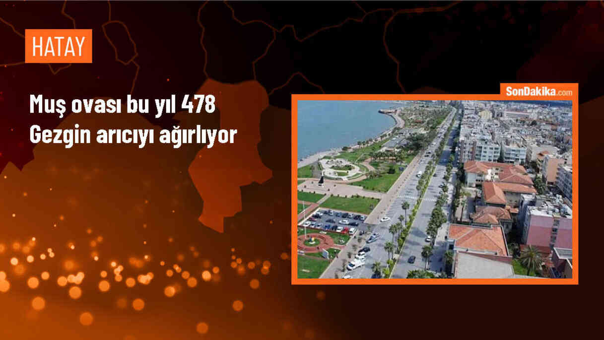 Muş Ovası, 478 arıcıya ev sahipliği yapıyor