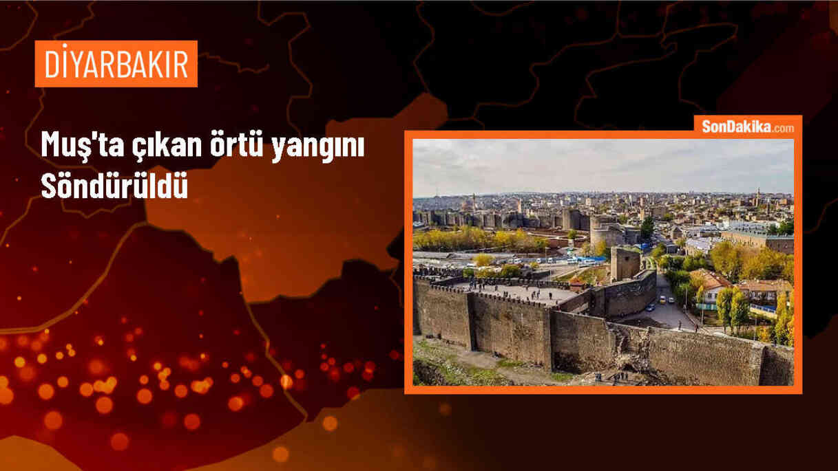 Muş\'ta Çatbaşı köyünde çıkan örtü yangını kontrol altına alındı