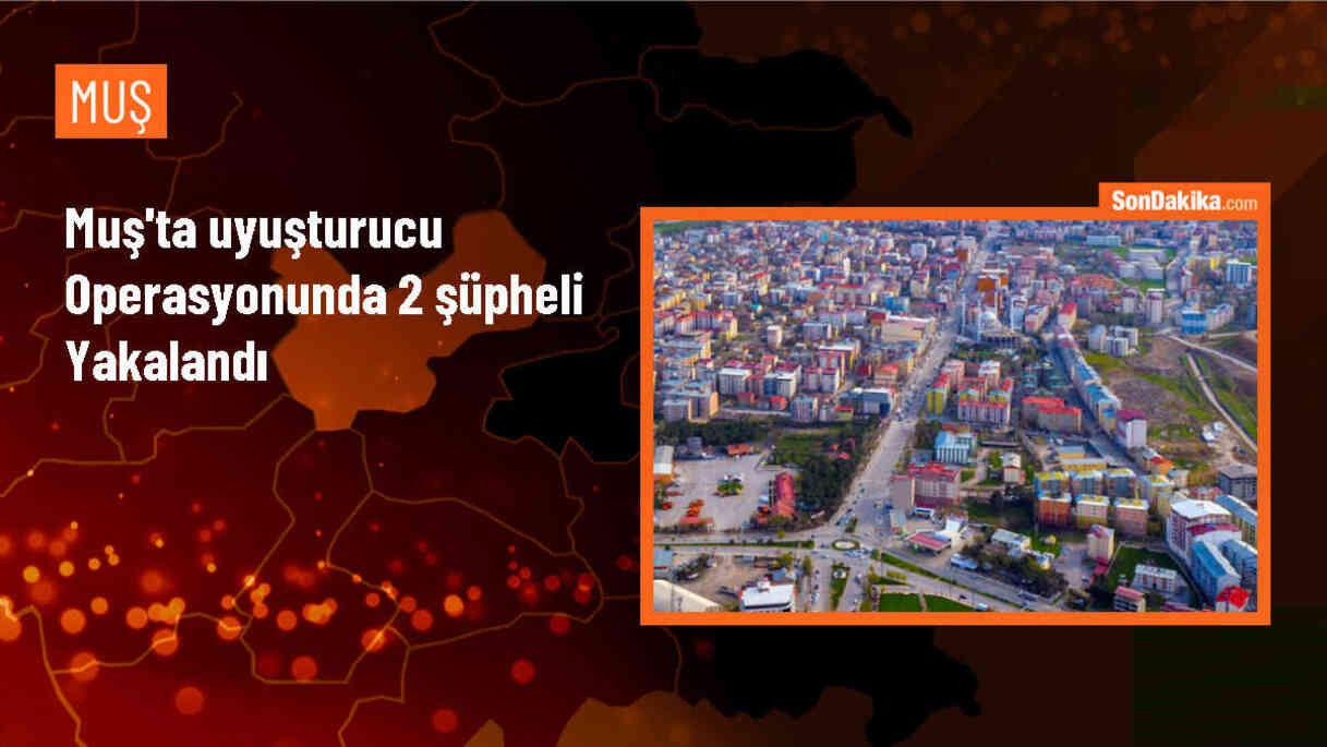 Muş\'ta Durdurulan Araçta 750 Gram Sentetik Uyuşturucu Ele Geçirildi