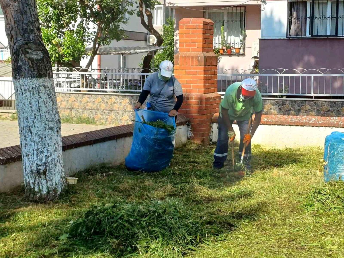 Nazilli Belediyesi, Yeşil Alanlarda Çalışmalarını Yoğunlaştırdı