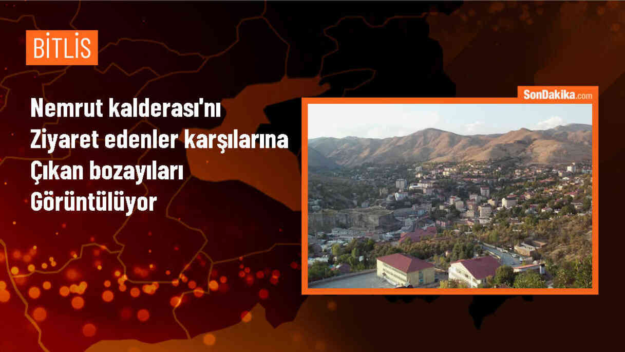 Nemrut Kalderası\'nda Bozayılarla Karşılaşan Ziyaretçiler