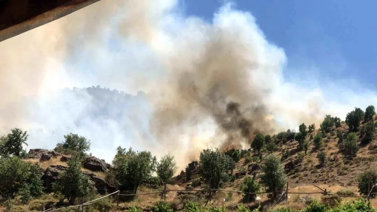 Adıyaman\'da Ormanlık Alanda Çıkan Örtü Yangını Kontrol Altına Alındı