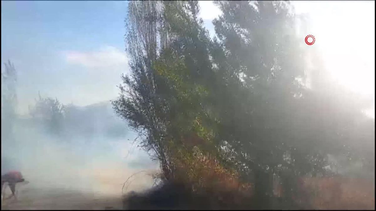 Sason\'da çilek bahçesinde korkutan yangın