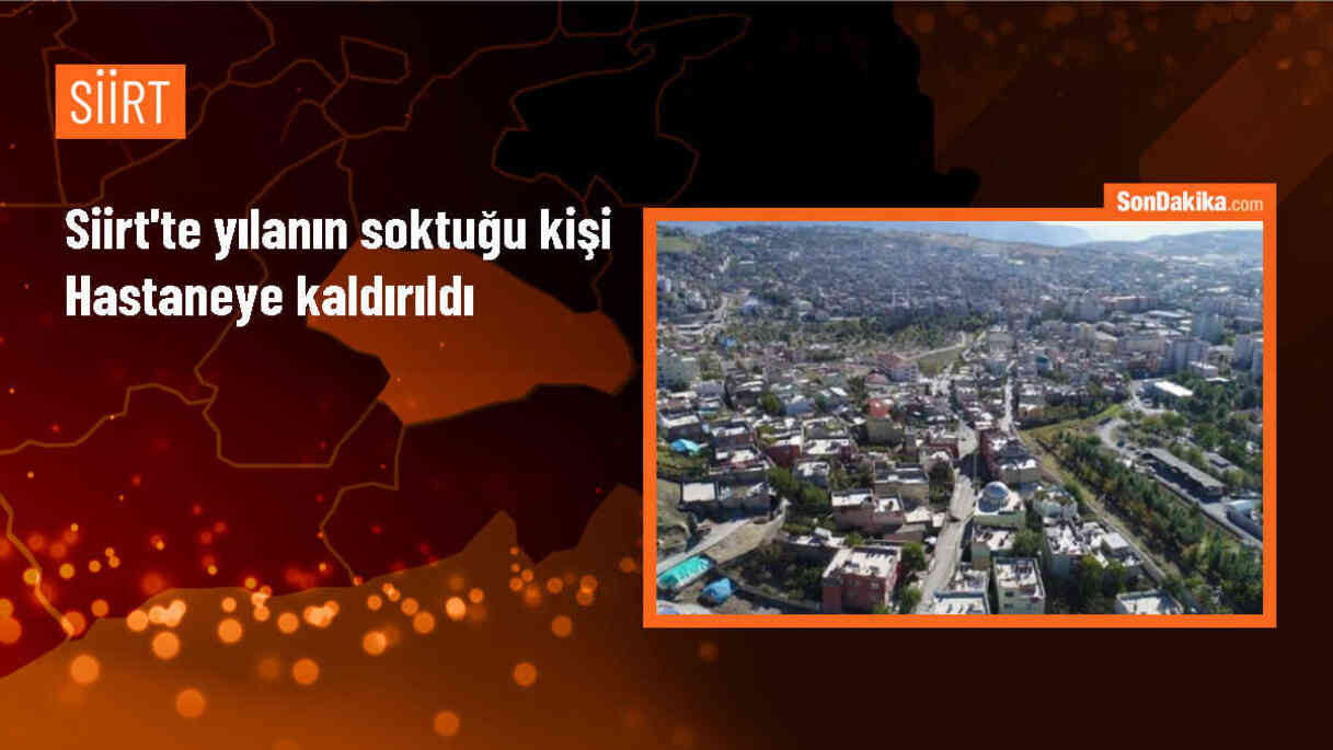 Siirt\'te Yılan Sokması Sonucu Kişi Hastaneye Kaldırıldı