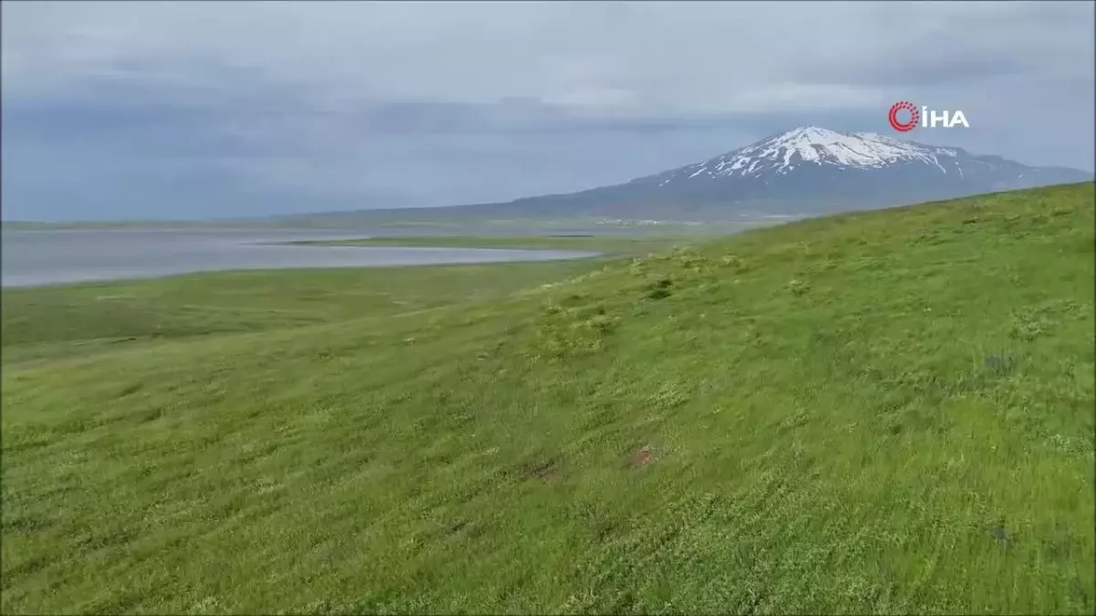 Sütey Yaylası ve Süphan Dağı\'nda Bulut Geçişleri Görsel Şölen Oluşturdu