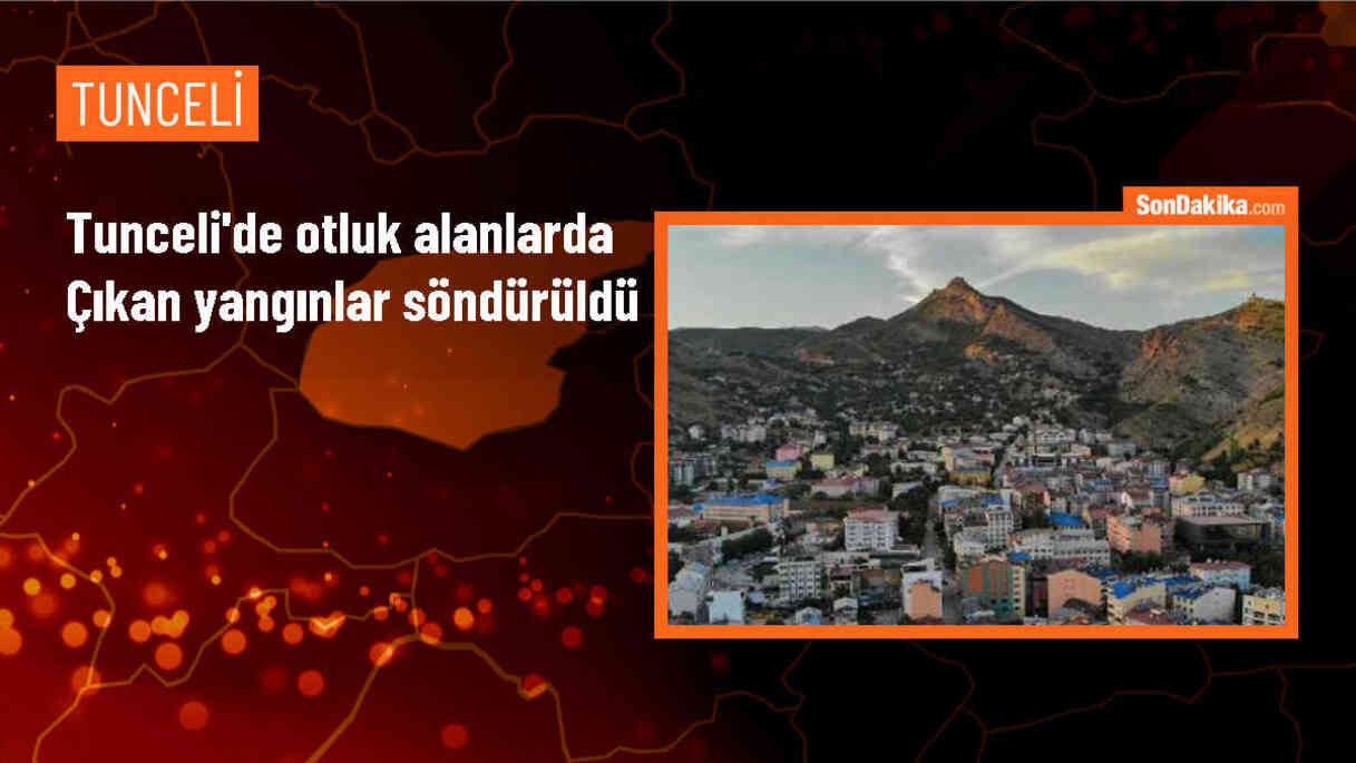 Tunceli\'de çıkan yangınlar kontrol altına alındı