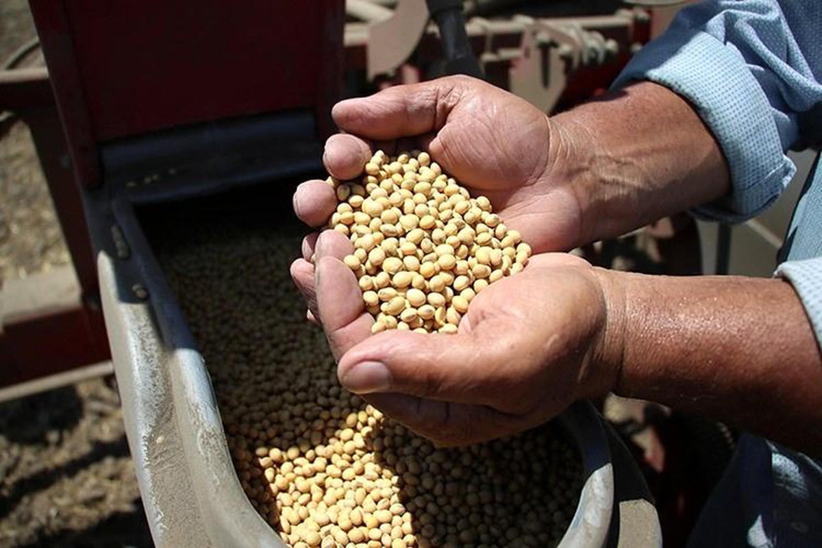 Adana\'da Çiftçiler İkinci Ürün Tarımına Başladı