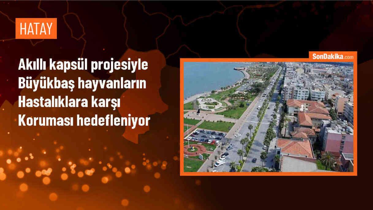 Van YYÜ Veterinerlik Fakültesi, Akıllı Kapsül ile Hayvan Hastalıklarını Önlemeyi Hedefliyor