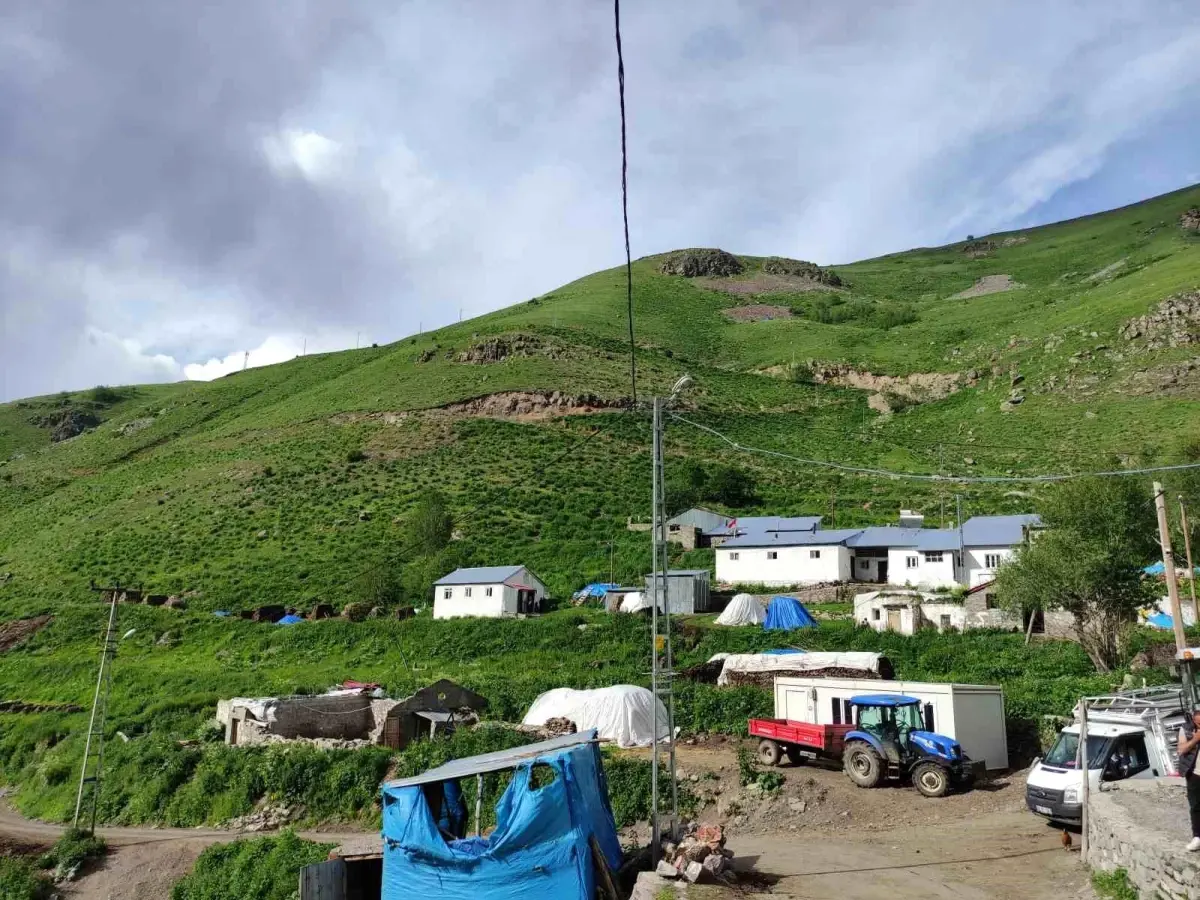 Ardahan\'da Çığ Felaketinde Ev ve Ahırı Yıkılan Besici, Hayvanlarıyla Devam Etmek İstiyor