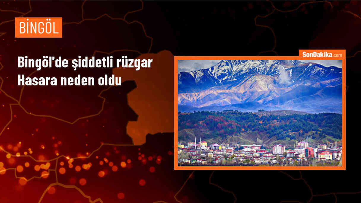 Solhan\'da Şiddetli Rüzgar Ağaçları Devirdi