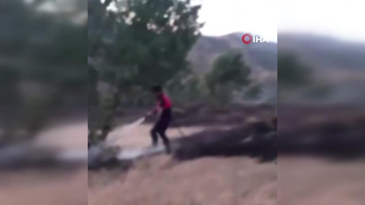 Bingöl\'deki orman yangını büyümeden söndürüldü