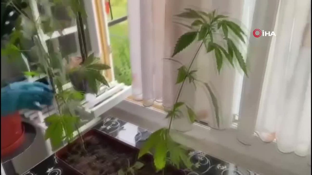 Düzce\'de yapılan baskında uyuşturucu ele geçirildi