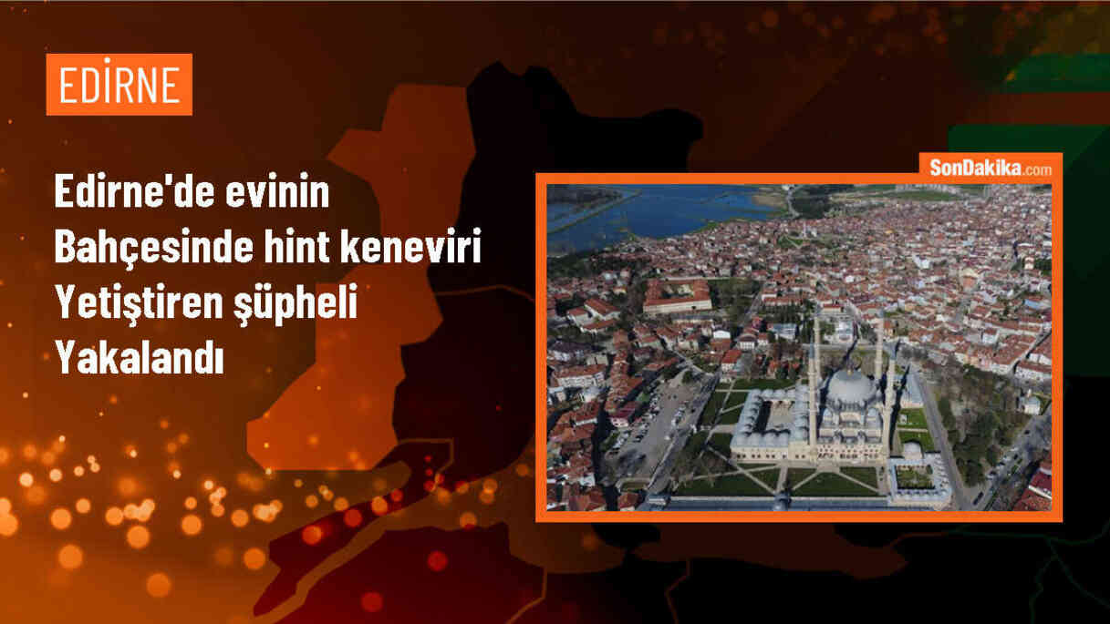 Edirne\'de Ev Bahçesinde Hint Keneviri Yetiştiren Şüpheli Gözaltına Alındı