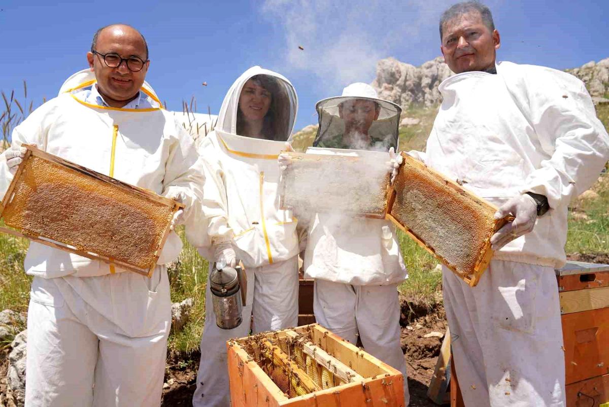 Erzincan\'da Kadınlar Arı Sütü Üretimi İle Ekonomiye Katkı Sağlayacak