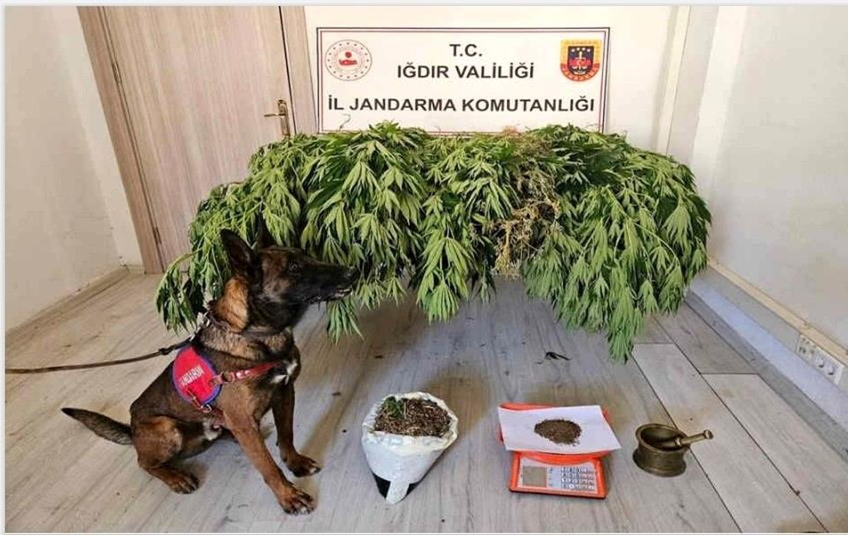 Iğdır\'da Uyuşturucu Operasyonu: 2 Kişi Yakalandı