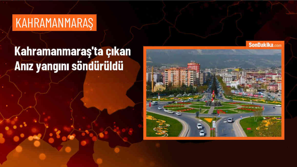Kahramanmaraş\'ta Rüzgarın Etkisiyle Büyüyen Anız Yangını Kontrol Altına Alındı