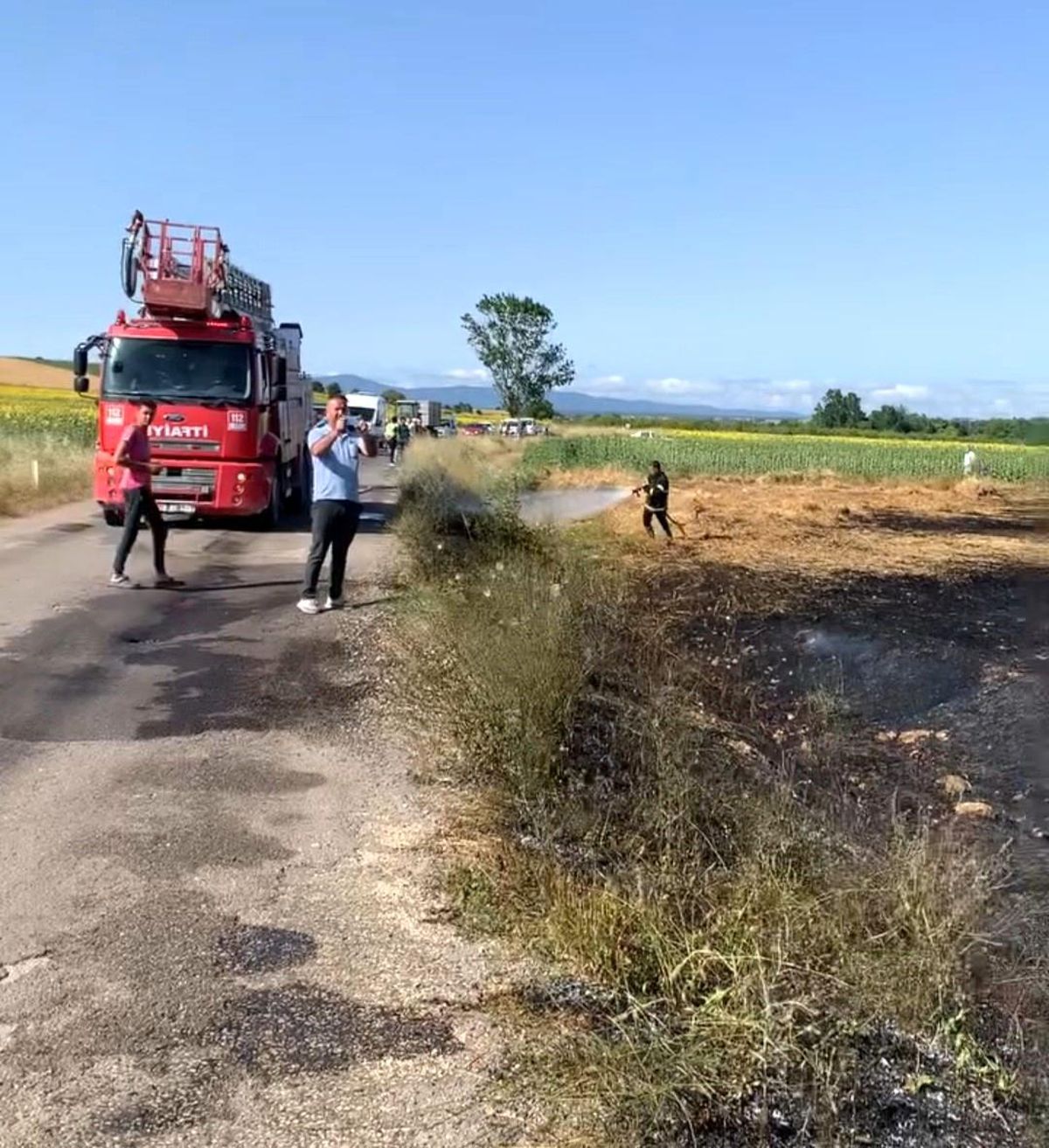 Lüleburgaz\'da çıkan yangında buğday tarlası zarar gördü