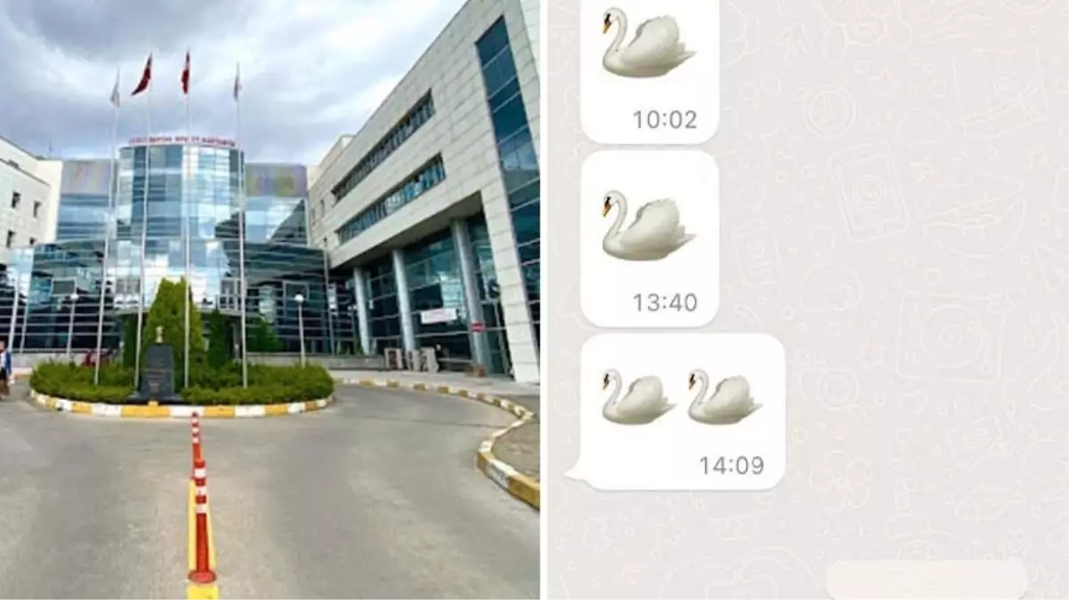 Doktorlar ile mümessil arasında "Kuğu" emojili yolsuzluk! Çifte soruşturma başlatıldı