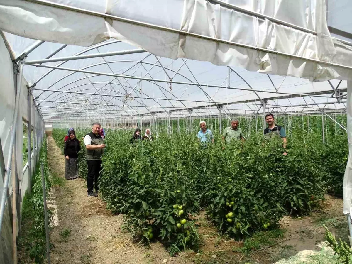 Zonguldak Orman Bölge Müdürlüğü, orman köylülerine seracılık kredisi sağlıyor