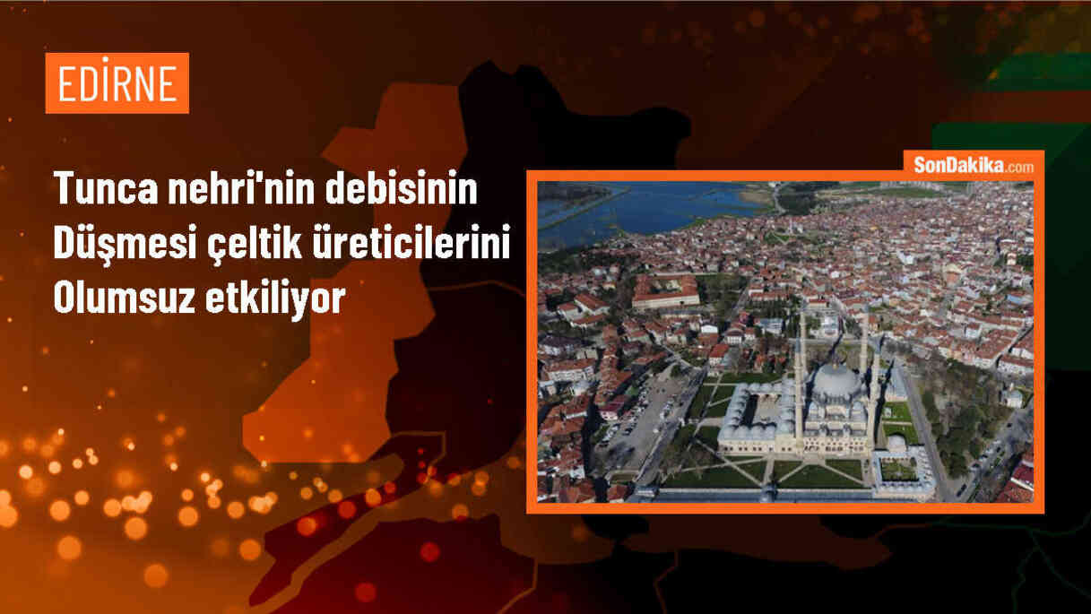 Tunca Nehri\'ndeki Su Azlığı Çeltik Üreticilerini Etkiliyor