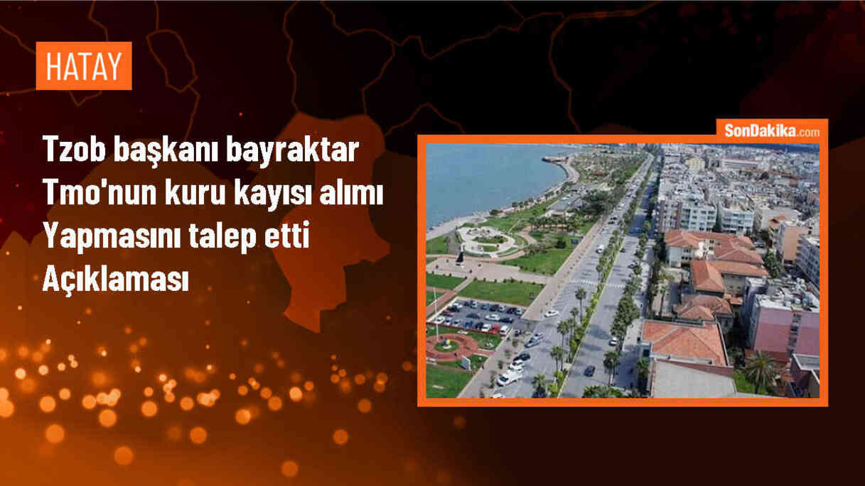 TZOB Genel Başkanı: TMO, Üreticilerin Yanında Olmalı ve Kuru Kayısı Alımı Yapmalı