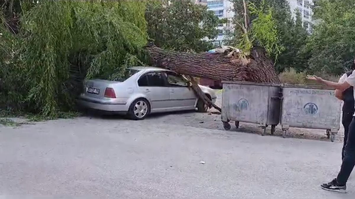 Ankara\'da Rüzgarın Etkisiyle Devrilen Ağaç 4 Araçta Hasara Yol Açtı