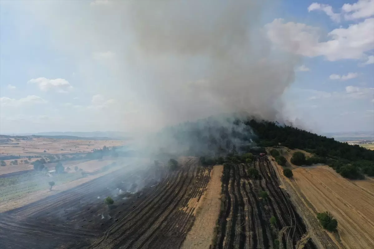 Balıkesir\'de Orman Yangını: Havadan ve Karadan Müdahale Devam Ediyor