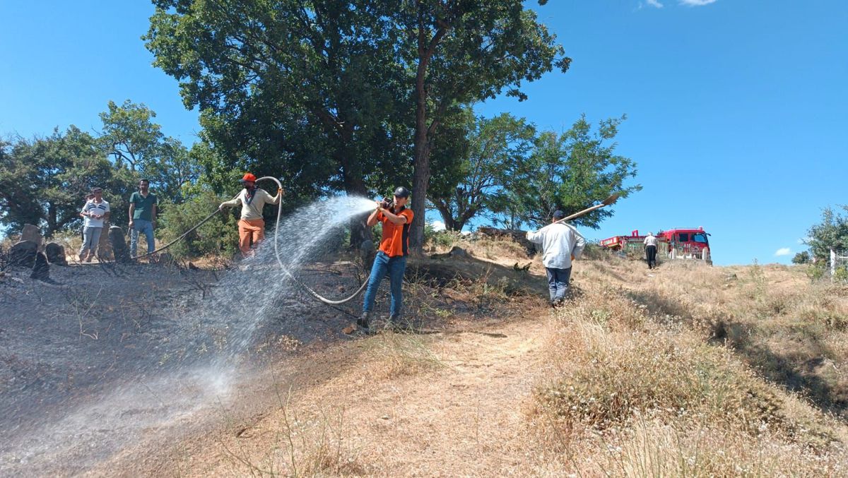 Bingöl\'de çıkan örtü yangını ormana sıçramadan söndürüldü