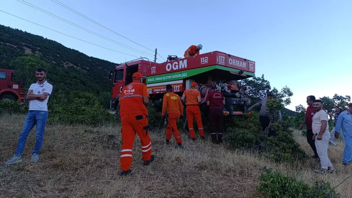 Bingöl\'ün Ilıcalar beldesinde çıkan orman yangını kontrol altına alındı