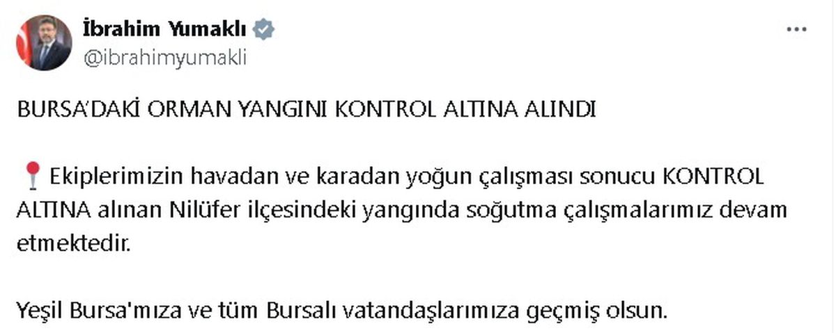 Bursa\'daki Orman Yangını Kontrol Altına Alındı