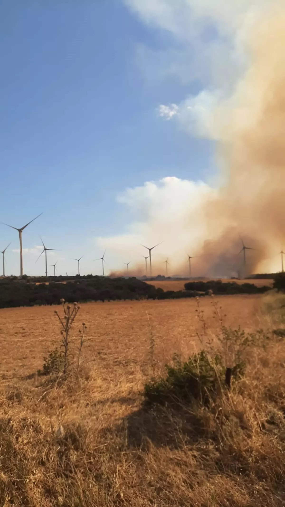 Çanakkale\'de Tarım Arazisinde Yangın Çıktı