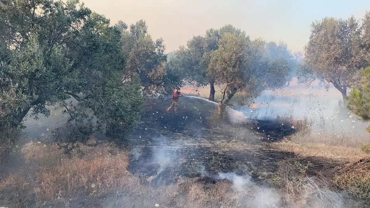 Çanakkale\'de Orman ve Çimento Fabrikasına Sıçrayan Yangın