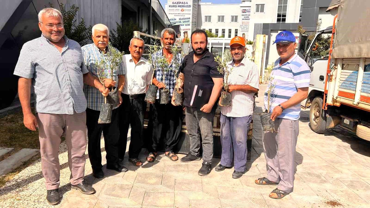 Antalya Büyükşehir Belediyesi Gazipaşalı Çiftçilere Zeytin Fidanı Dağıttı
