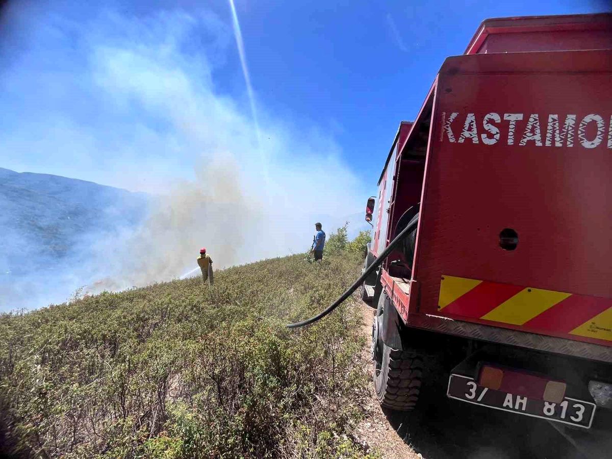 Kastamonu\'da İki Orman Yangını Kontrol Altına Alındı