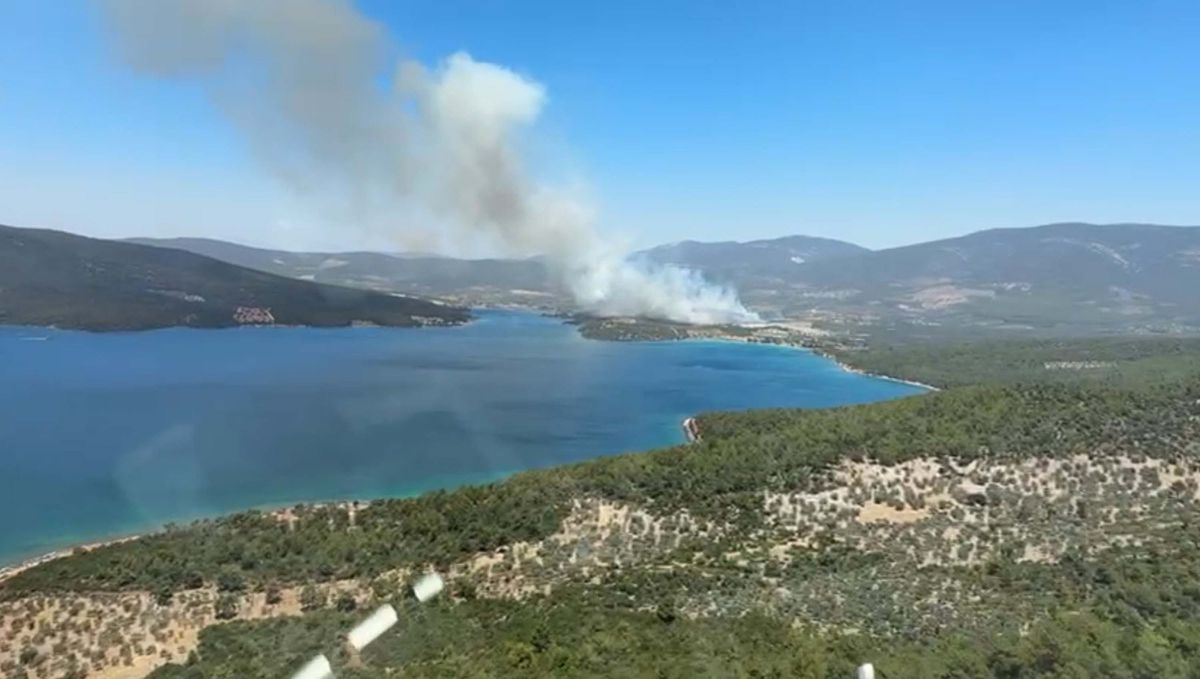 Muğla\'da Orman Yangını Çıktı