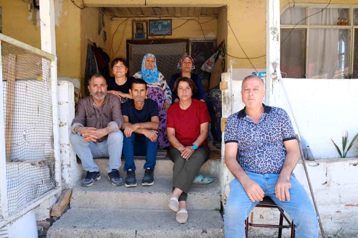 Samsun\'da evlerinin altında yaşayan yılanlar nedeniyle korku yaşayan aile, nöbet tutuyor