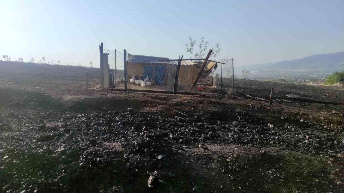 Denizli\'de çıkan yangında tavukları kurtarmak isteyen kadın yanarak yaralandı