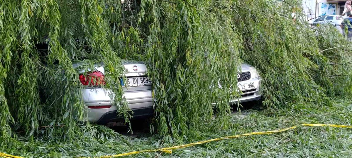 Ankara\'da Rüzgarın Etkisiyle Söğüt Ağacı Araçların Üzerine Devrildi