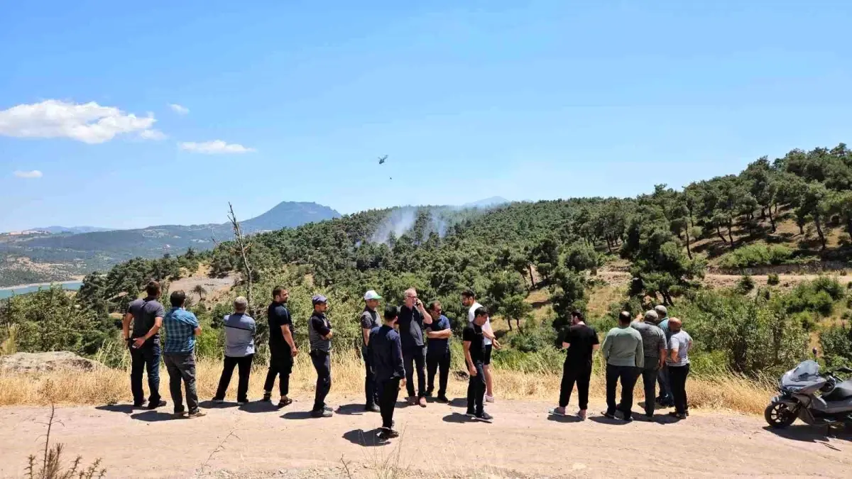 Balıkesir\'deki Orman Yangını Kontrol Altına Alındı